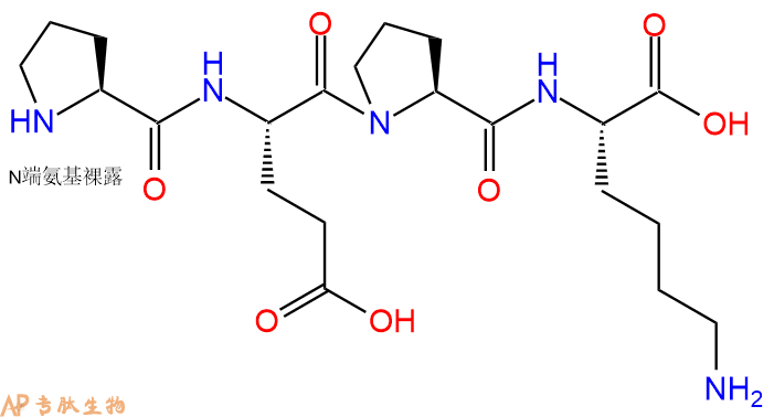 专肽生物产品H2N-Pro-Glu-Pro-Lys-COOH