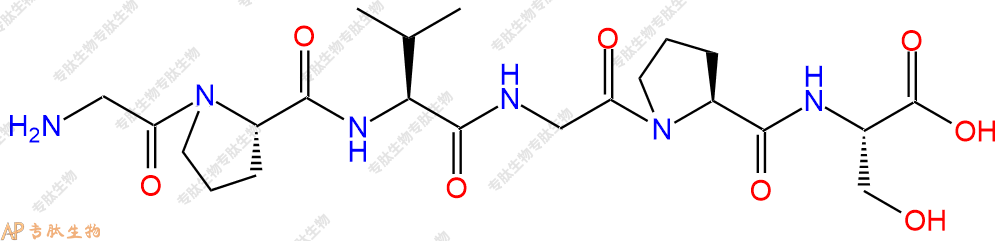 专肽生物产品H2N-Gly-Pro-Val-Gly-Pro-Ser-OH