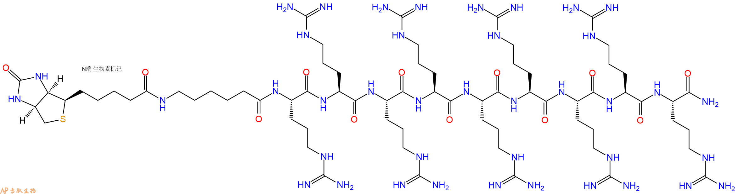 专肽生物产品细胞穿膜肽(Arg)9 biotin labeled