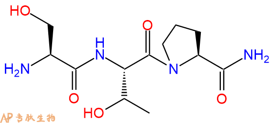 专肽生物产品H2N-Ser-Thr-Pro-NH2