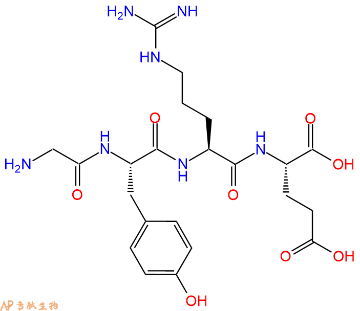 专肽生物产品H2N-Gly-Tyr-Arg-Glu-OH