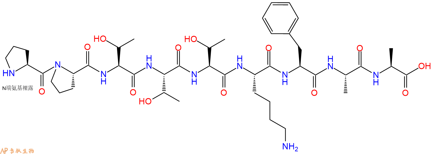 专肽生物产品血管紧张素转换酶（ACE）配体：Acein2022202-76-0