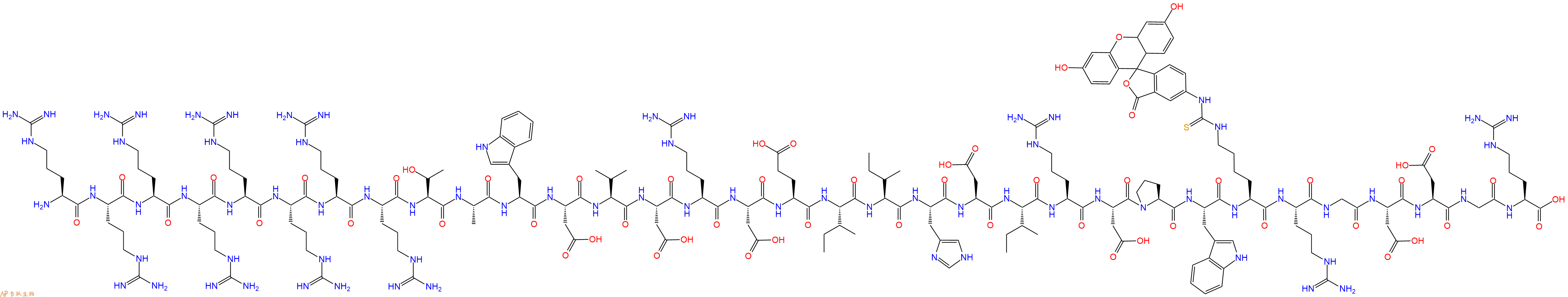 专肽生物产品H2N-Arg-Arg-Arg-Arg-Arg-Arg-Arg-Arg-Thr-Ala-Trp-Asp-Val-Asp-Arg-Asp-Glu-Ile-Ile-His-Asp-Ile-Arg-Asp-Pro-Trp-Lys(FITC)-Arg-Gly-Asp-Asp-Gly-Arg-OH