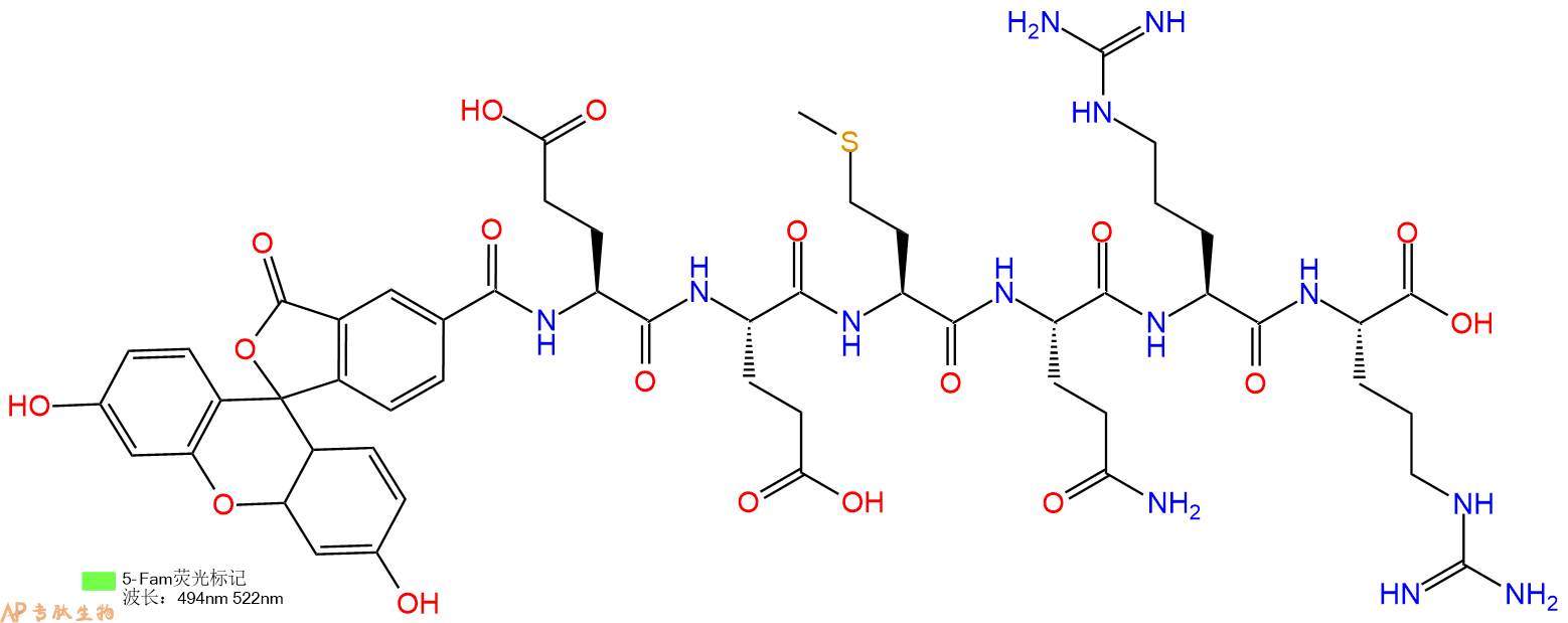专肽生物产品5FAM-Glu-Glu-Met-Gln-Arg-Arg-OH