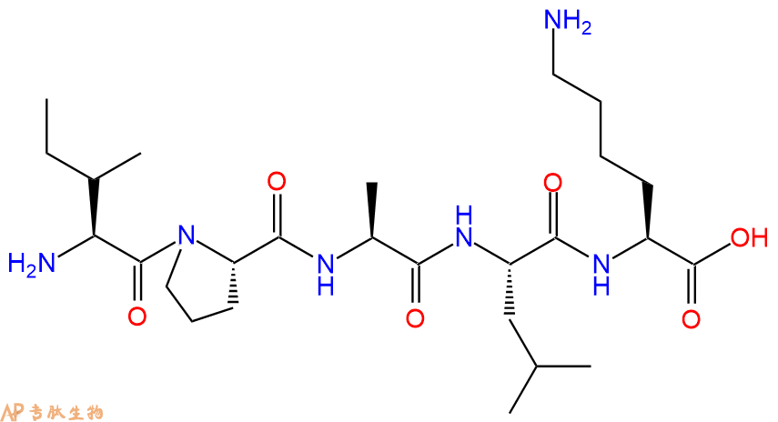 专肽生物产品H2N-Ile-Pro-Ala-Leu-Lys-OH