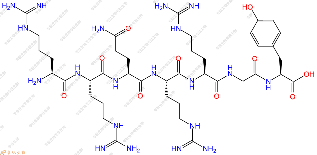 专肽生物产品H2N-Arg-Arg-Gln-Arg-Arg-Gly-Tyr-OH