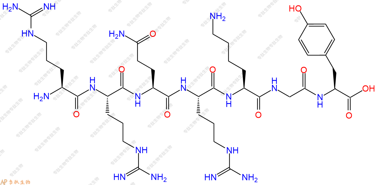 专肽生物产品H2N-Arg-Arg-Gln-Arg-Lys-Gly-Tyr-OH