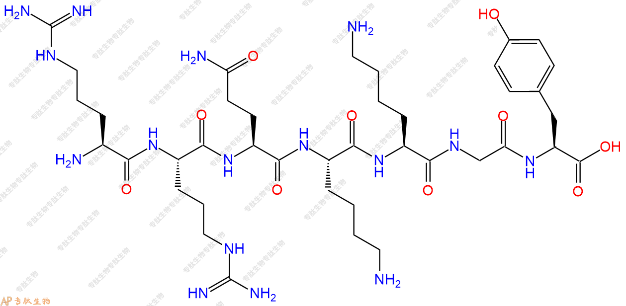 专肽生物产品H2N-Arg-Arg-Gln-Lys-Lys-Gly-Tyr-OH