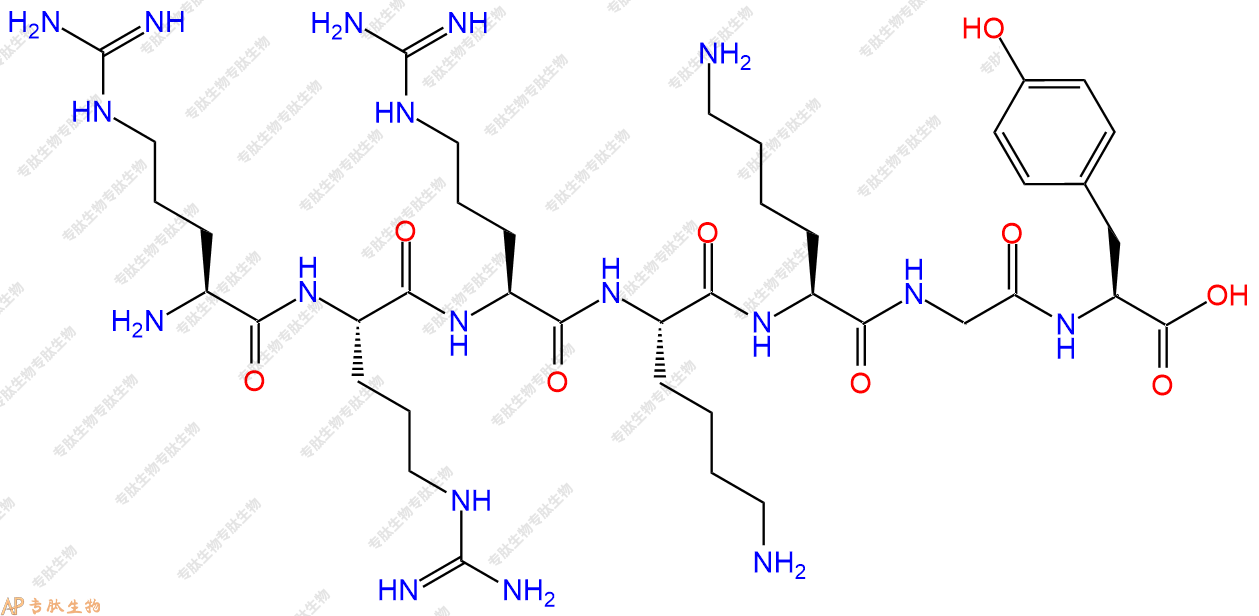 专肽生物产品H2N-Arg-Arg-Arg-Lys-Lys-Gly-Tyr-OH