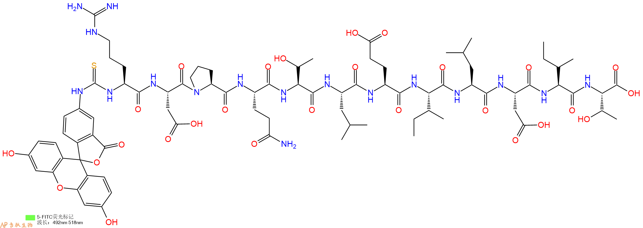 专肽生物产品5FITC-Arg-Asp-Pro-Gln-Thr-Leu-Glu-Ile-Leu-Asp-Ile-Thr-OH