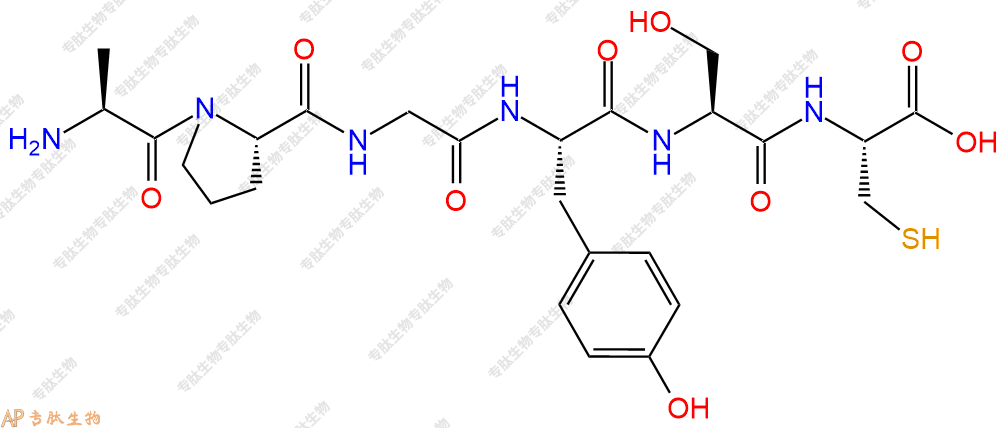 专肽生物产品H2N-Ala-Pro-Gly-Tyr-Ser-Cys-OH