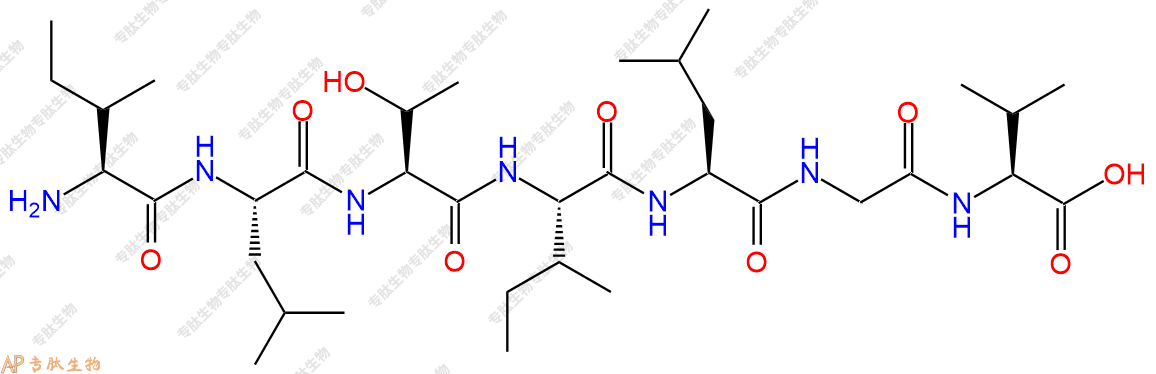 专肽生物产品H2N-Ile-Leu-Thr-Ile-Leu-Gly-Val-OH