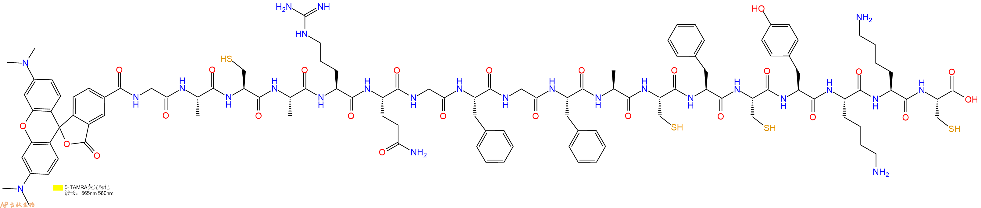 专肽生物产品5TAMRA-Gly-Ala-Cys-Ala-Arg-Gln-Gly-Phe-Gly-Phe-Ala-Cys-Phe-Cys-Tyr-Lys-Lys-Cys-OH