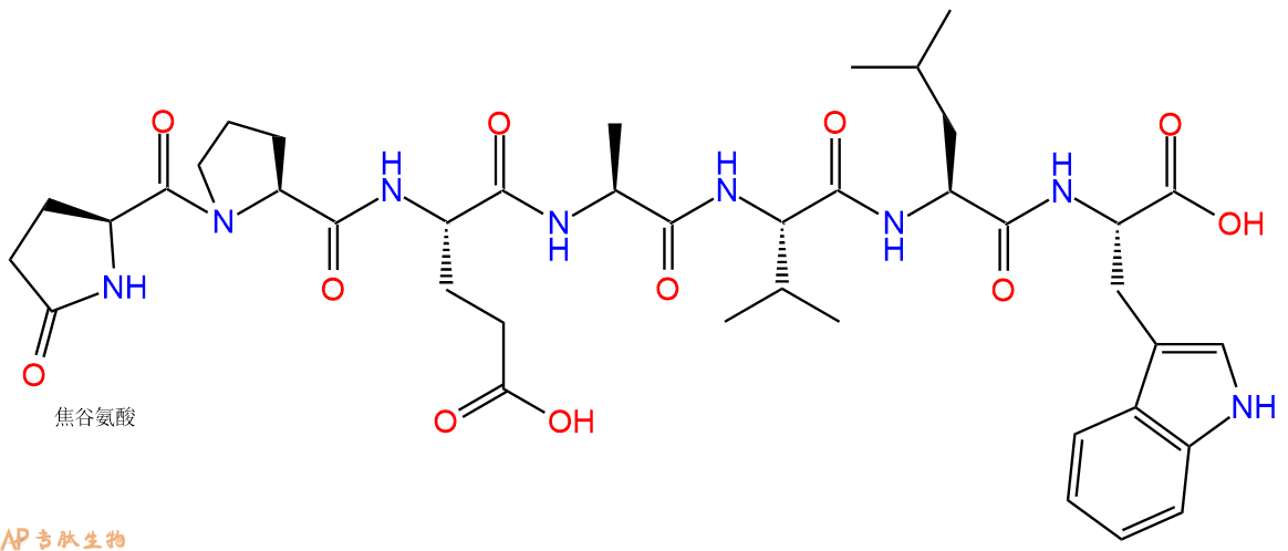 专肽生物产品Pyr-Pro-Glu-Ala-Val-Leu-Trp-OH