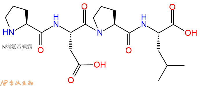 专肽生物产品H2N-Pro-Asp-Pro-Leu-OH