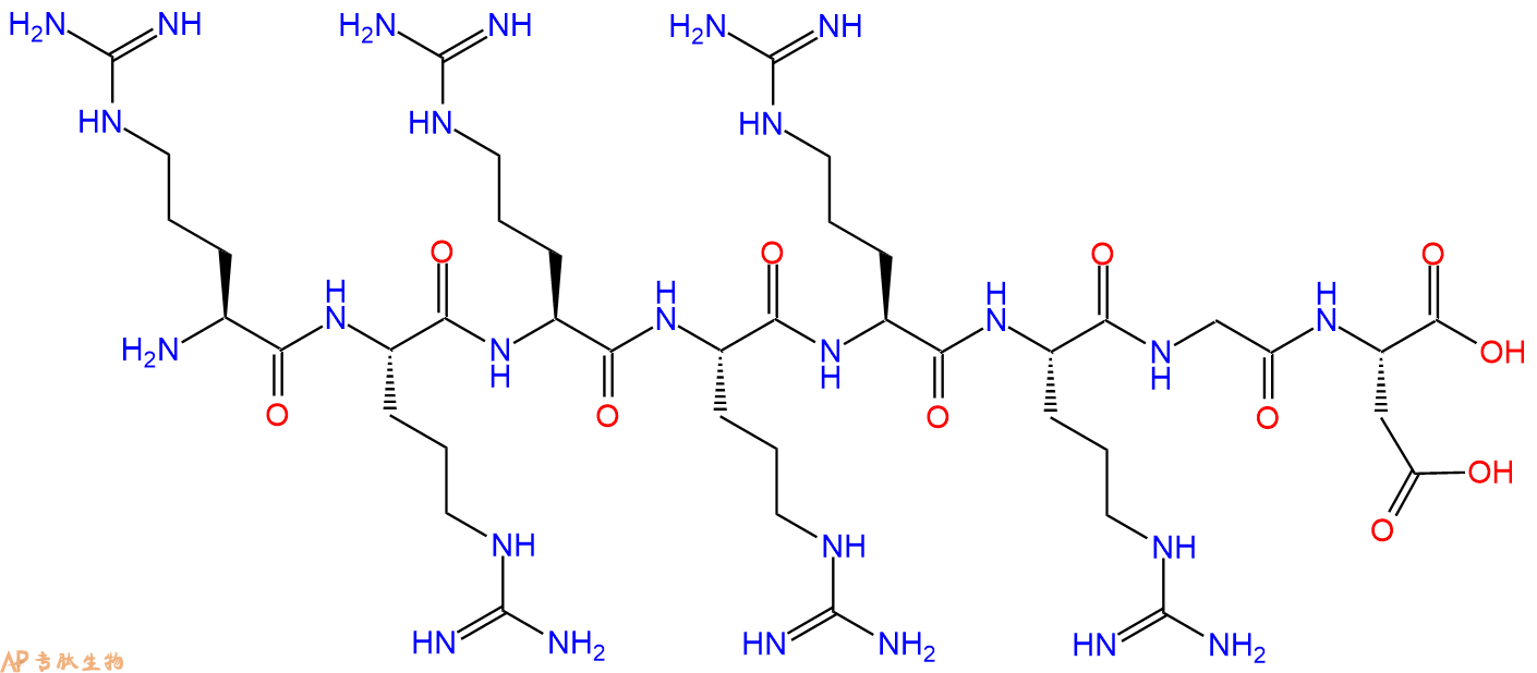 专肽生物产品H2N-Arg-Arg-Arg-Arg-Arg-Arg-Gly-Asp-OH