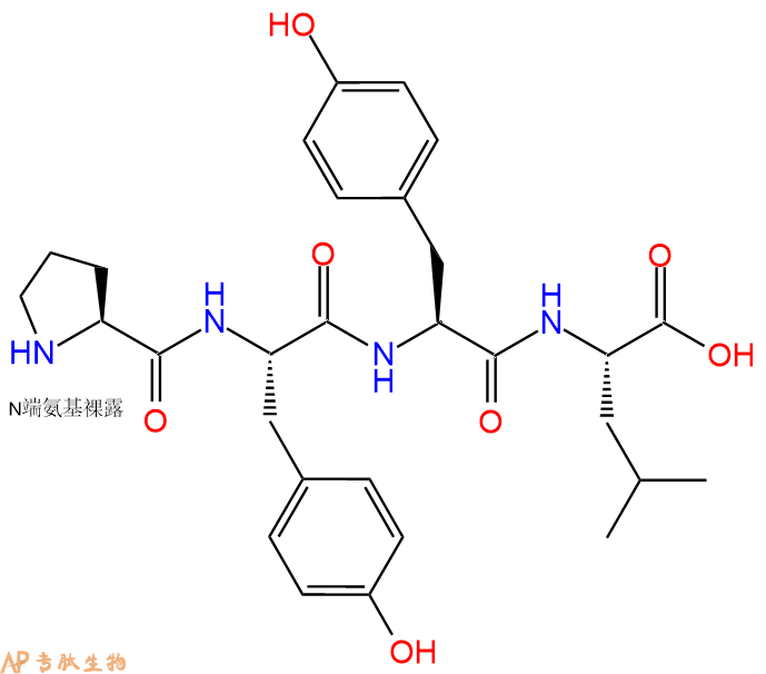专肽生物产品H2N-Pro-Tyr-Tyr-Leu-OH