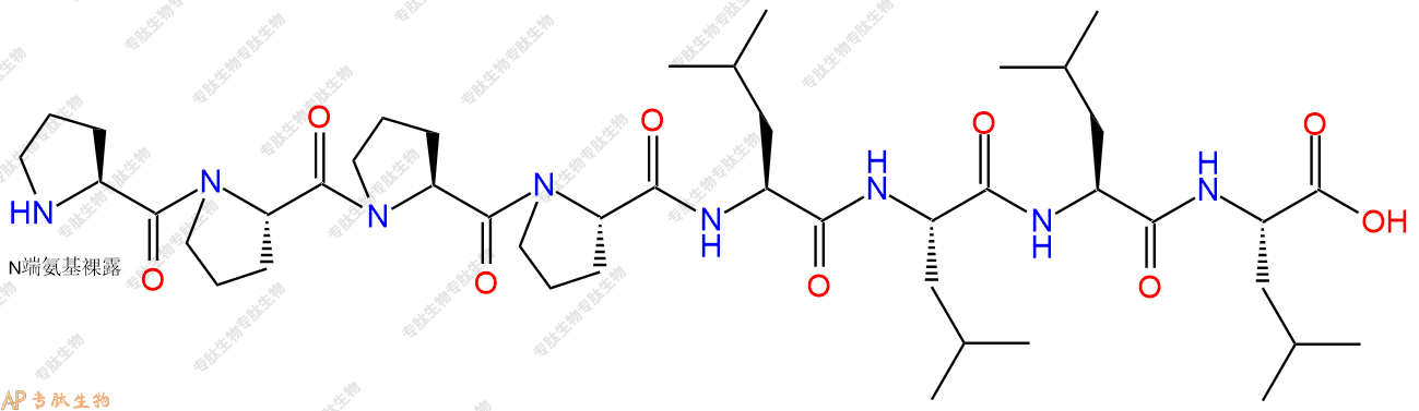 专肽生物产品H2N-Pro-Pro-Pro-Pro-Leu-Leu-Leu-Leu-OH