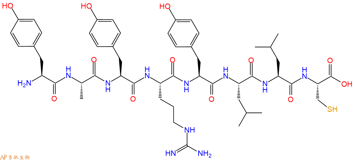 专肽生物产品H2N-Tyr-Ala-Tyr-Arg-Tyr-Leu-Leu-Cys-OH