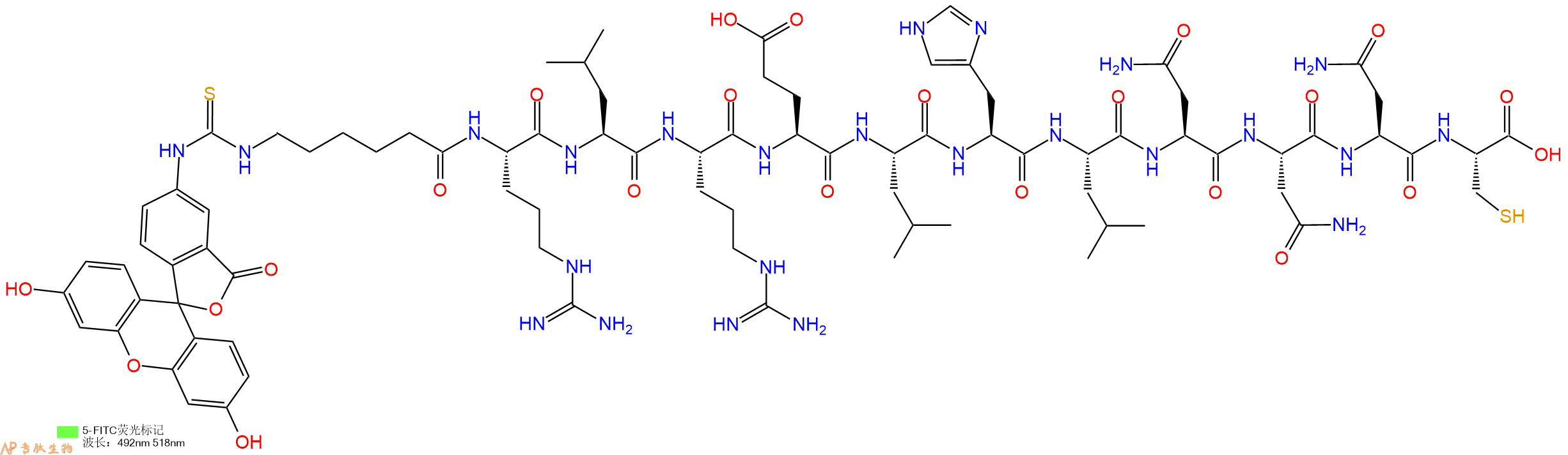 专肽生物产品5FITC-Ahx-Arg-Leu-Arg-Glu-Leu-His-Leu-Asn-Asn-Asn-Cys-OH