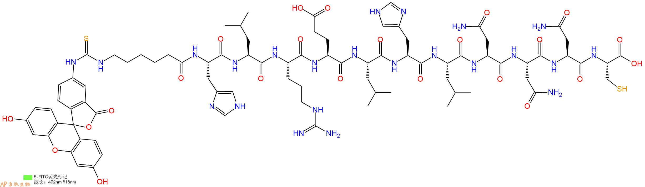 专肽生物产品5FITC-Ahx-His-Leu-Arg-Glu-Leu-His-Leu-Asn-Asn-Asn-Cys-OH