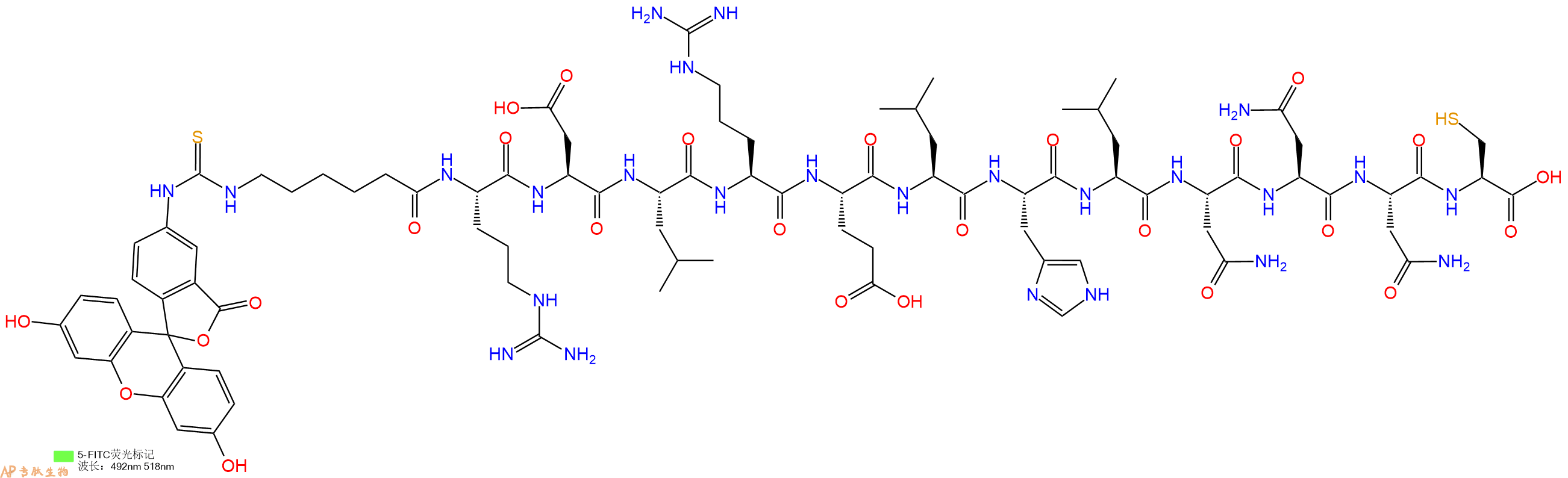 专肽生物产品5FITC-Ahx-Arg-Asp-Leu-Arg-Glu-Leu-His-Leu-Asn-Asn-Asn-Cys-OH
