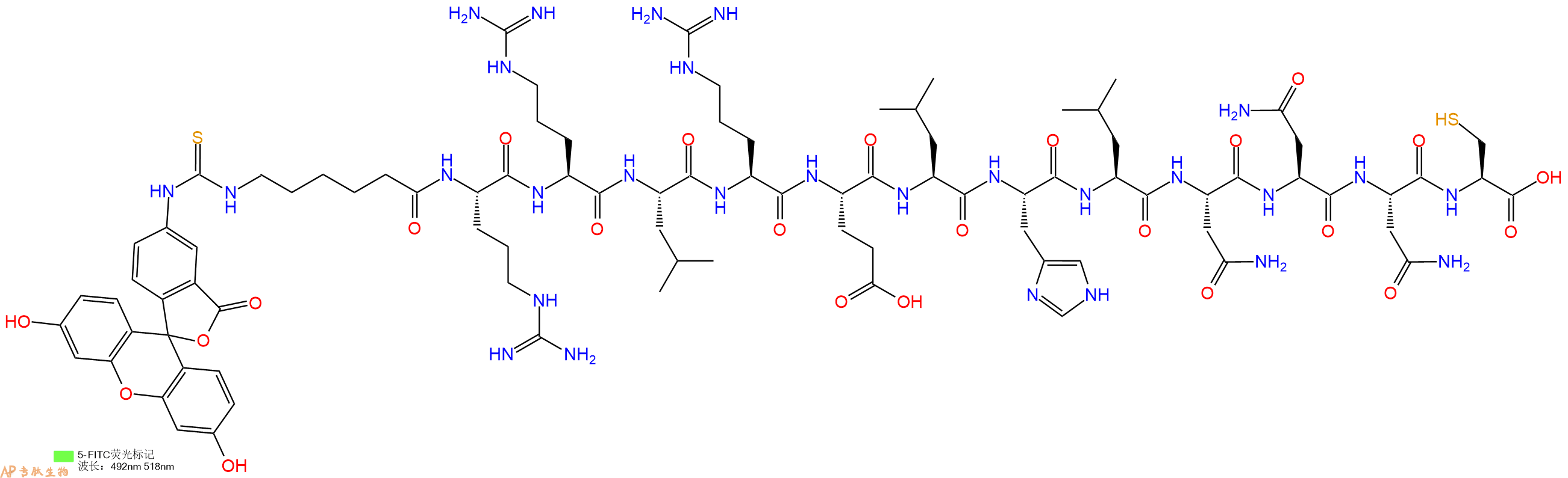 专肽生物产品5FITC-Ahx-Arg-Arg-Leu-Arg-Glu-Leu-His-Leu-Asn-Asn-Asn-Cys-OH