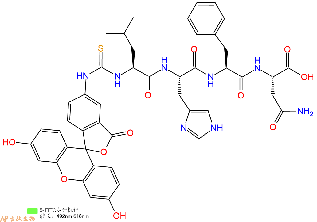 专肽生物产品5FITC-Leu-His-Phe-Asn-OH
