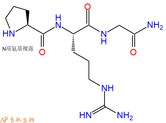 专肽生物产品H2N-Pro-Arg-Gly-NH2