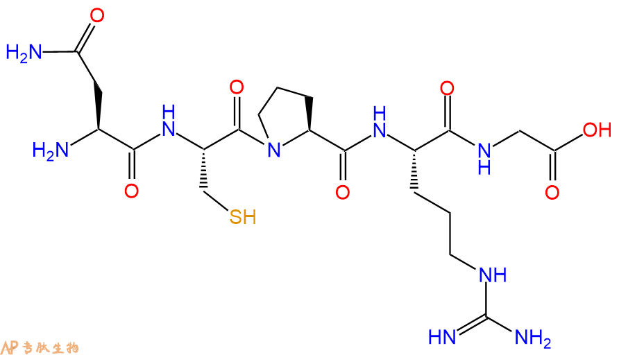 专肽生物产品H2N-Asn-Cys-Pro-Arg-Gly-OH
