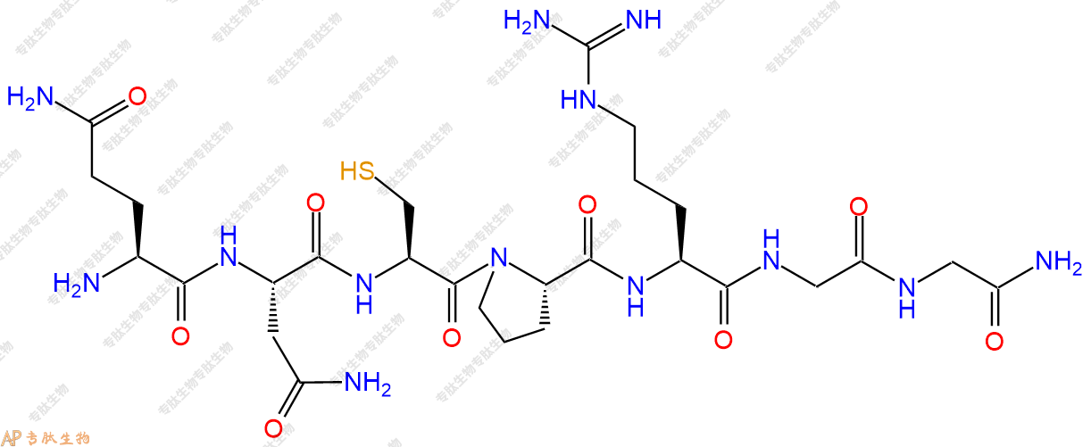专肽生物产品H2N-Gln-Asn-Cys-Pro-Arg-Gly-Gly-NH2
