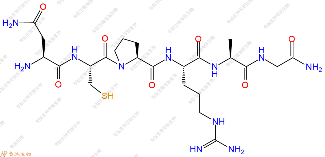 专肽生物产品H2N-Asn-Cys-Pro-Arg-Ala-Gly-NH2