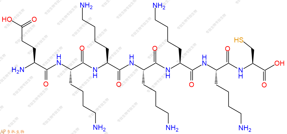 专肽生物产品H2N-Glu-Lys-Lys-Lys-Lys-Lys-Cys-OH
