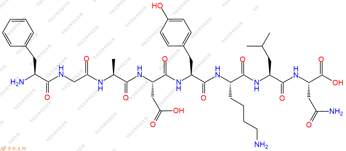 专肽生物产品H2N-Phe-Gly-Ala-Asp-Tyr-Lys-Leu-Asn-OH