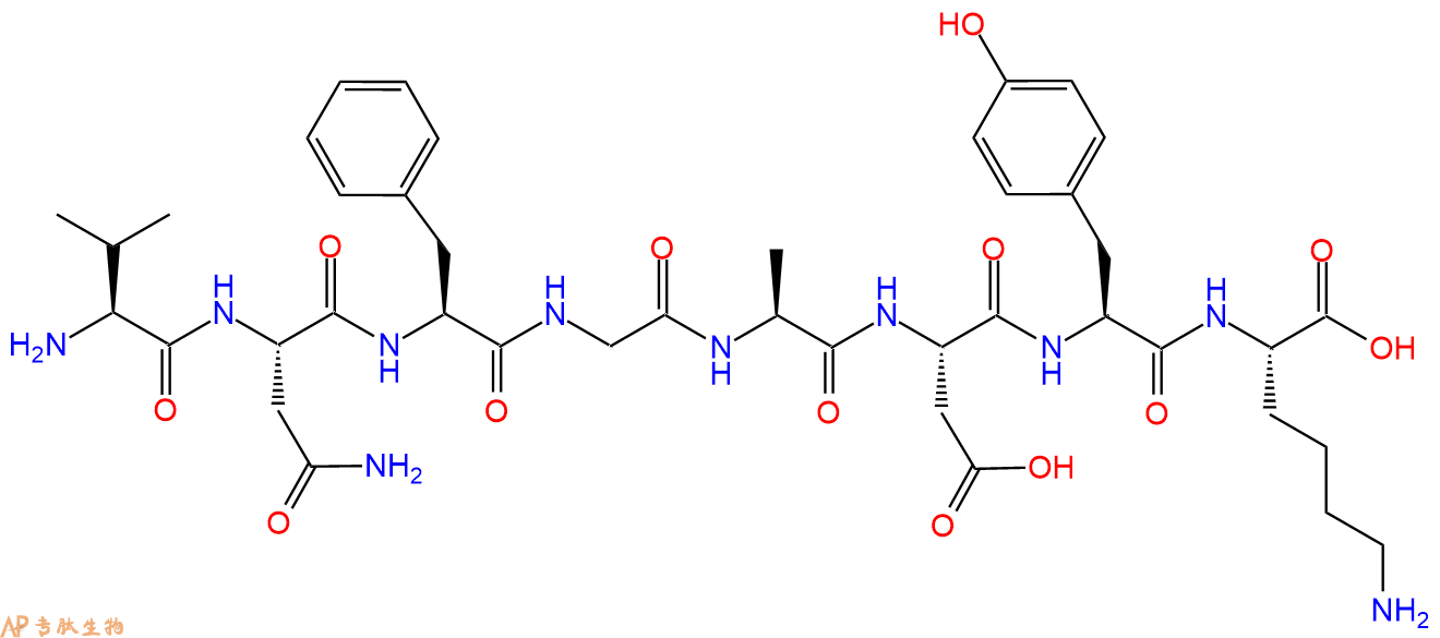 专肽生物产品H2N-Val-Asn-Phe-Gly-Ala-Asp-Tyr-Lys-OH