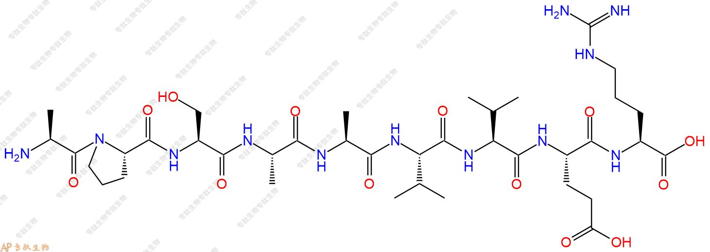 专肽生物产品H2N-Ala-Pro-Ser-Ala-Ala-Val-Val-Glu-Arg-OH