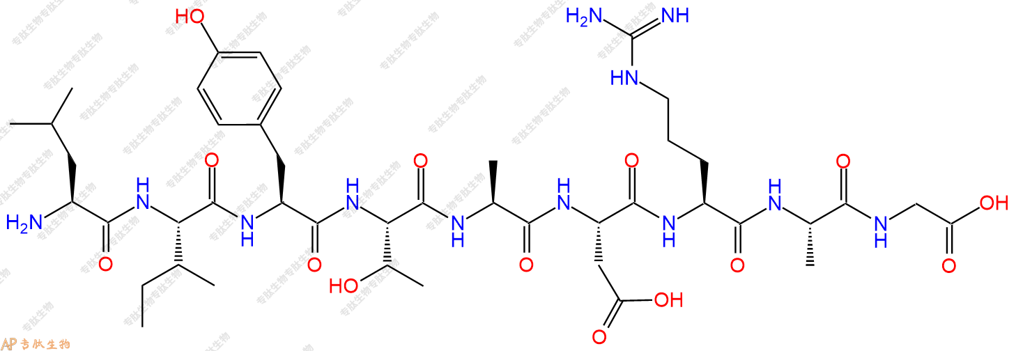 专肽生物产品H2N-Leu-Ile-Tyr-Thr-Ala-Asp-Arg-Ala-Gly-OH