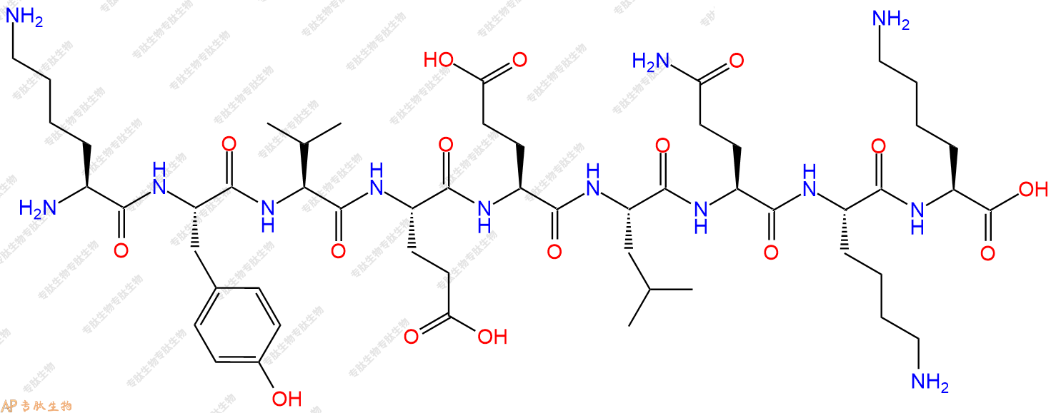 专肽生物产品H2N-Lys-Tyr-Val-Glu-Glu-Leu-Gln-Lys-Lys-OH