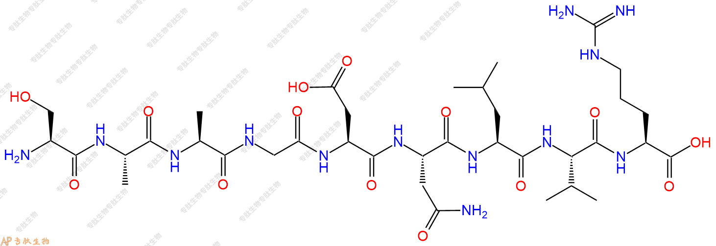 专肽生物产品H2N-Ser-Ala-Ala-Gly-Asp-Asn-Leu-Val-Arg-OH