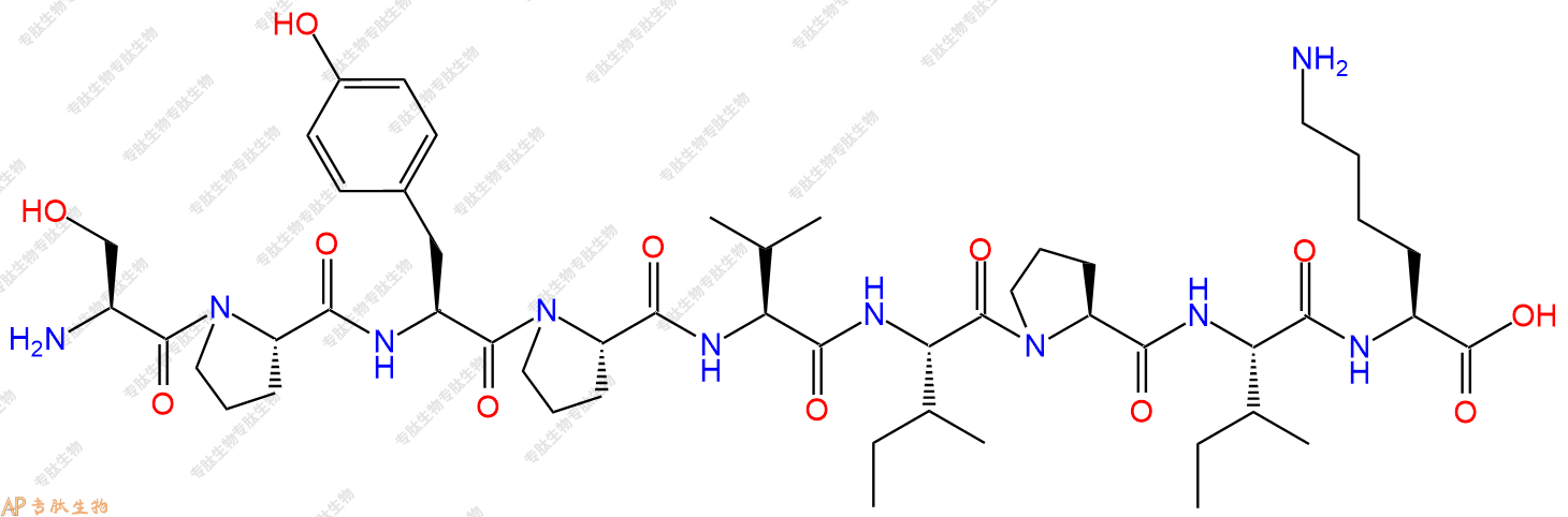 专肽生物产品H2N-Ser-Pro-Tyr-Pro-Val-Ile-Pro-Ile-Lys-OH