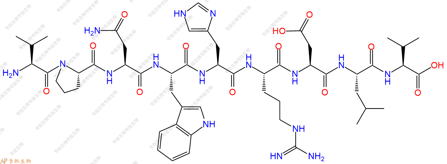 专肽生物产品H2N-Val-Pro-Asn-Trp-His-Arg-Asp-Leu-Val-OH
