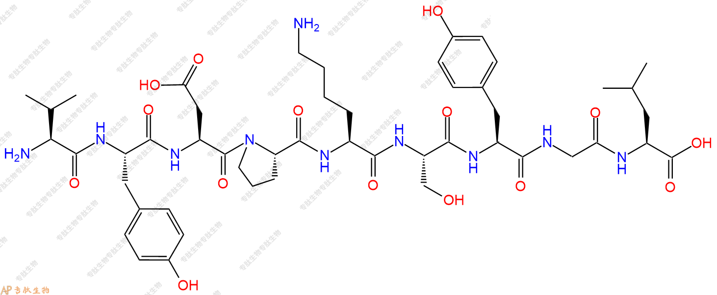 专肽生物产品H2N-Val-Tyr-Asp-Pro-Lys-Ser-Tyr-Gly-Leu-OH