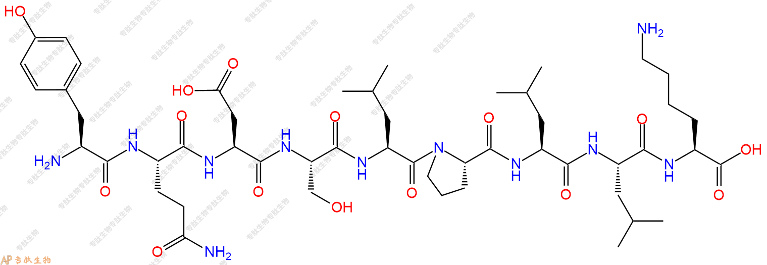 专肽生物产品H2N-Tyr-Gln-Asp-Ser-Leu-Pro-Leu-Leu-Lys-OH