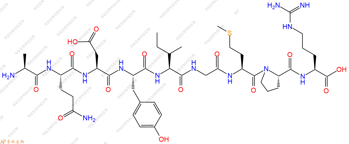 专肽生物产品H2N-Ala-Gln-Asp-Tyr-Ile-Gly-Met-Pro-Arg-OH