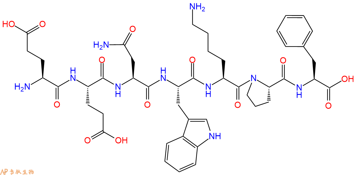 专肽生物产品H2N-Glu-Glu-Asn-Trp-Lys-Pro-Phe-OH