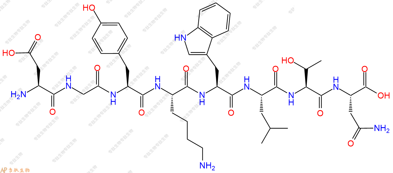专肽生物产品H2N-Asp-Gly-Tyr-Lys-Trp-Leu-Thr-Asn-OH