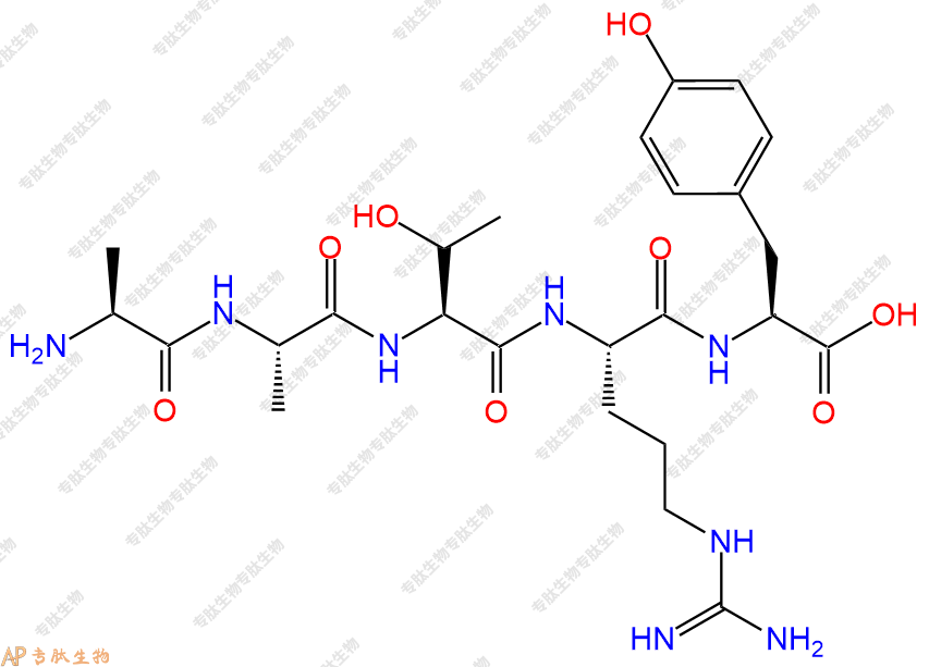 专肽生物产品H2N-Ala-Ala-Thr-Arg-Tyr-OH