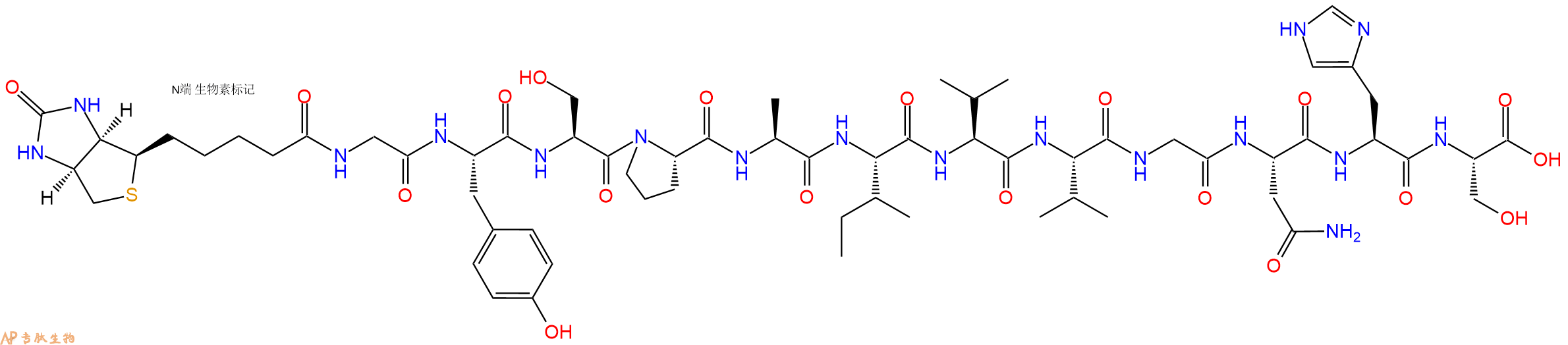 专肽生物产品Biotinyl-Gly-Tyr-Ser-Pro-Ala-Ile-Val-Val-Gly-Asn-His-Ser-OH