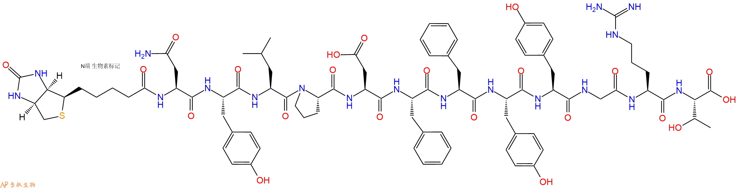 专肽生物产品Biotinyl-Asn-Tyr-Leu-Pro-Asp-Phe-Phe-Tyr-Tyr-Gly-Arg-Thr-OH