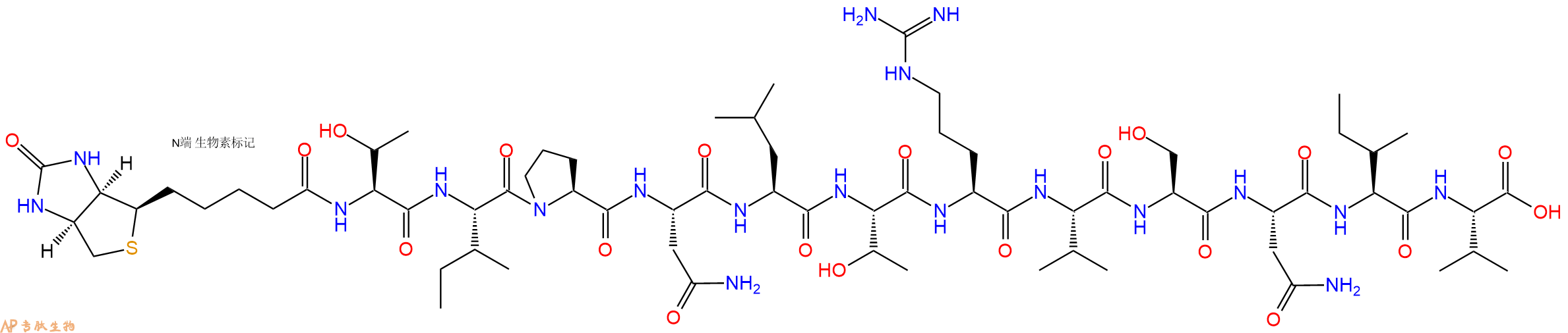 专肽生物产品Biotinyl-Thr-Ile-Pro-Asn-Leu-Thr-Arg-Val-Ser-Asn-Ile-Val-OH